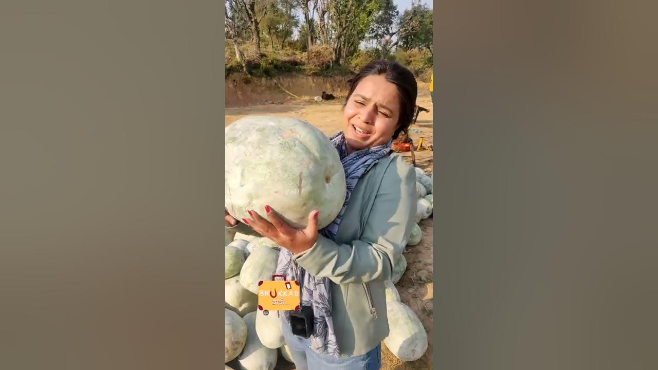 pahadon me petha kis tarah Banta hai himachalpradesh pathankot YouTube