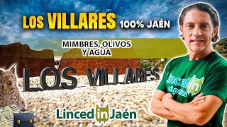 Los Villares: Tesoros de Jaén Entre Olivos y Manantiales