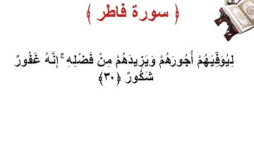 سورة فاطر الأية 30