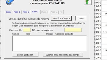 Exportar asientos a ContaPlus