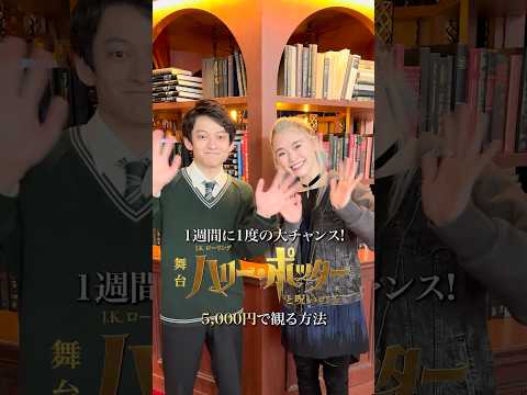 必見 舞台 ハリー ポッターと呪いの子 を5 000円で見る方法