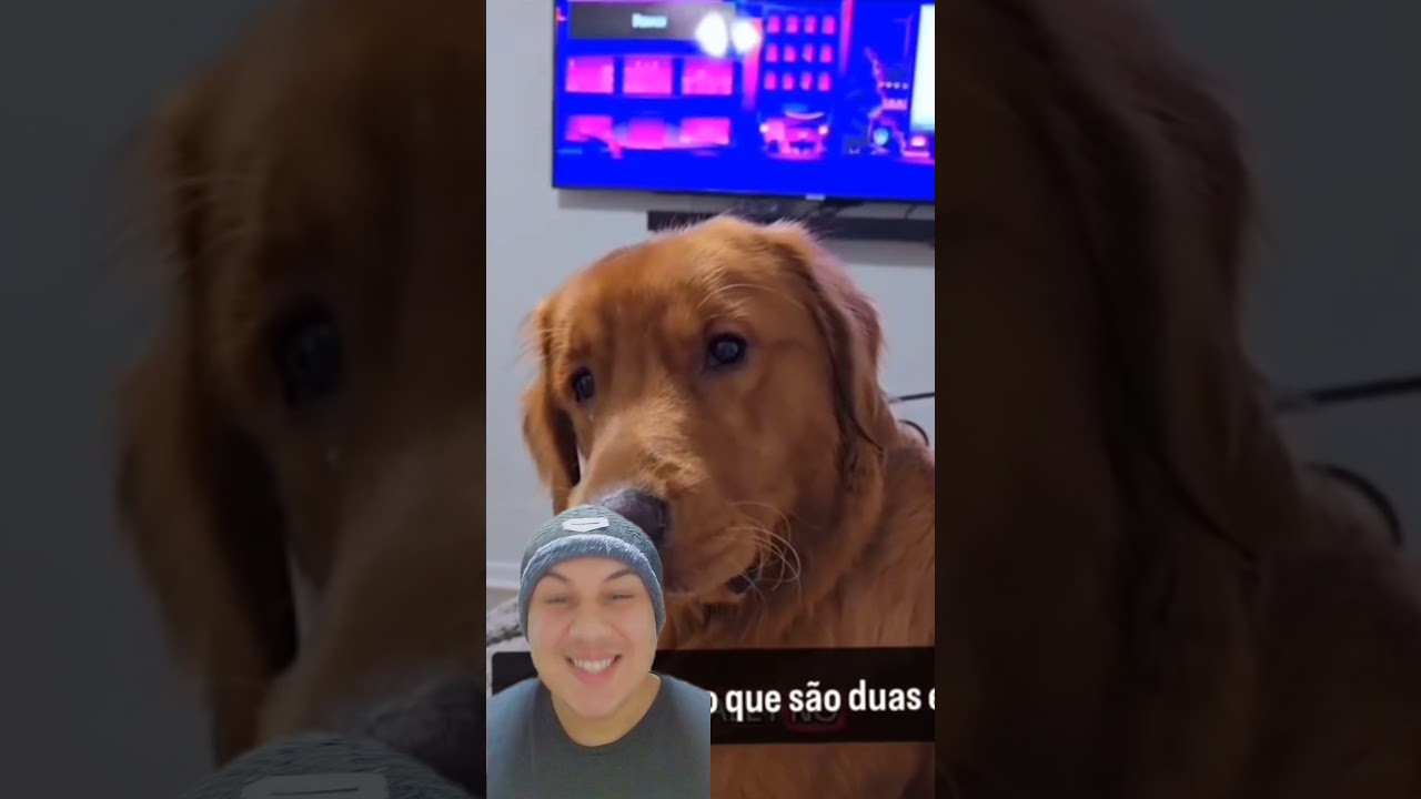 React doguinho ficou incrédulo 