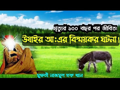 ভিডিও: পোলিনা ডলিনস্কায়া: জীবনী, ফিল্মগ্রাফি, ব্যক্তিগত জীবন