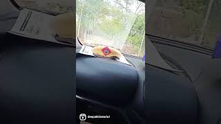 Haryana Police Short video