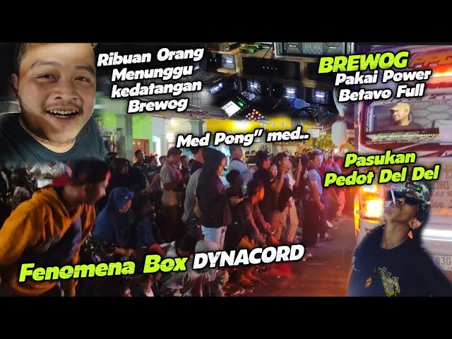 Fenomena,BREWOG datang orang Berdiri semua..ternyata box dynacord Pakai Power Betavo pantesan Ampuh class=