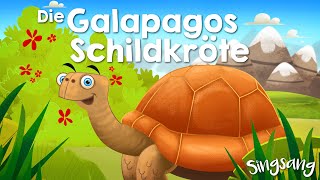 Die Galapagos-Schildkröte – Singsang – Lieder für Kinder