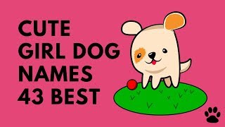 Cute Girl Dog Names - 43 BEST NAMES you will LOVE! | Names