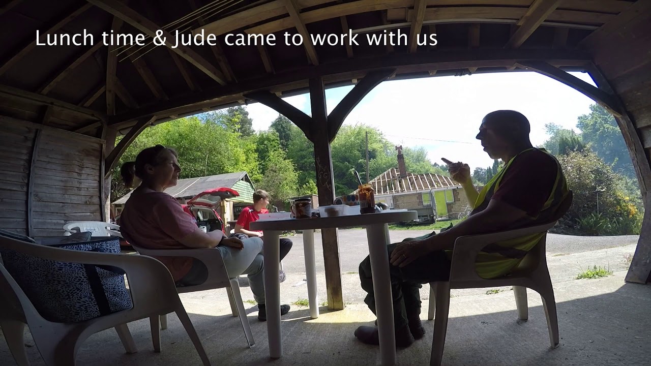 Tree maintenance and stump removal