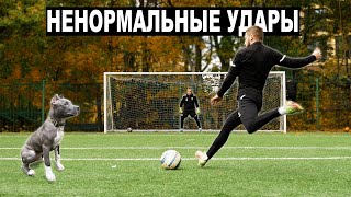 картинка: ЭТО НЕНОРМАЛЬНЫЕ УДАРЫ