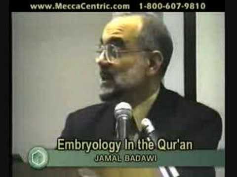 God's Miracle in the Islamic Perspective