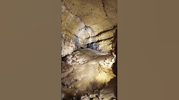 🦑🌄 Unveiling the Enigma: Ancient Squid Fossil Found in Hidden Cave! 📜🔍#fossil #cave #shorts