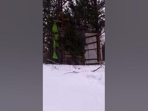 Крута Халабуда 💪🌲🇺🇦 - YouTube