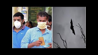 Nipah virus news: What is the incubation period of the nipah virus?