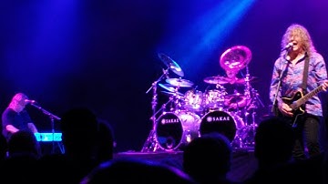 ZEBRA~"Wait Until the Summer