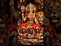 maa vo maa🙏#maa #petshub #song #sorts 🙏🕉🌺🌿❤❤maa❤❤❤❤❤