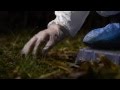 Crime Scene Investigation Techniques and Procedures