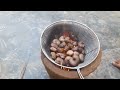 cashew nut processing at home