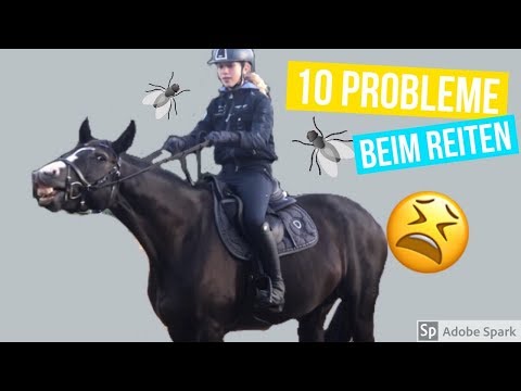 10-nervige-probleme-beim-reiten---die-jeder-kennt-!🙄😒-|fay&caba