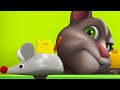 Trappola per topi! | Corti di Talking Tom | WildBrain Italiano