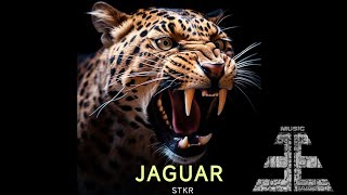 Jaguar 🐆 Santi. Prod.(@nikemusicrecord8894 @jckboombap )