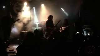 DIEINDEGREES – Hayfever – Live