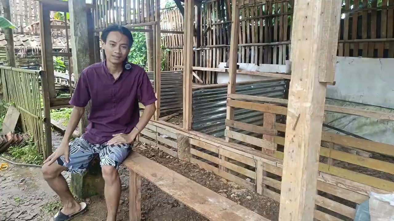 RUTINITAS PETERNAK TIAP HARI