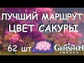 ЦВЕТ САКУРЫ - Лучший маршрут сбора 62 штуки по областям (диковины Инадзумы)