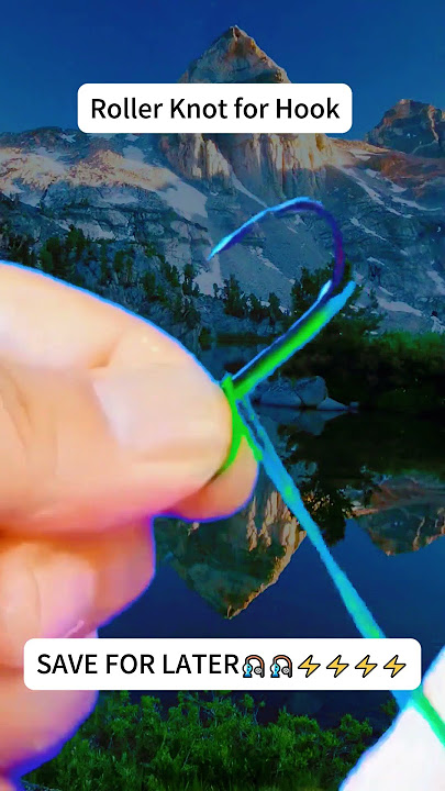 Fishing Hook Knot Tutorial | Line Tying Techniques 🎣 #reeffun #fishing #fishhook #diy #fypage