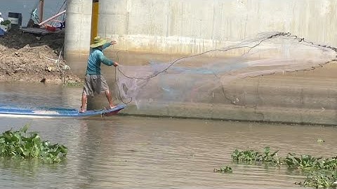 Anh  chị  chài  cá  dính  cá  lăng , Cá chốt   , Gần trụ cầu