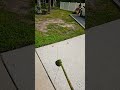 another day of work, #landscaping