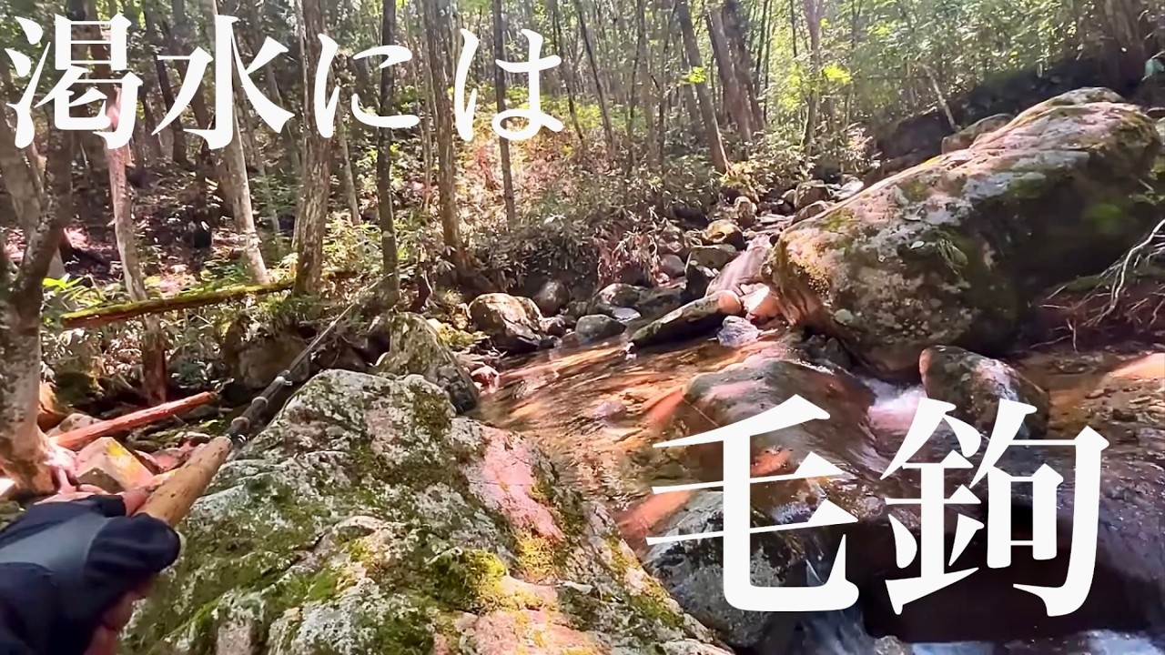 【渓流釣り】渇水な平日の真っ昼間でもテンカラは無双状態