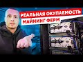 Реальная Доходность и Окупаемость Майнинг Фермы октябрь 2021