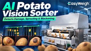 AI Potato Vision Sorter | Detects Damage, Sprouting & Blackening | Easyweigh