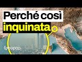 L'aria in Pianura Padana Ã¨ tra le piÃ¹ inquinate d'Europa: perchÃ©? Le cause scientifiche