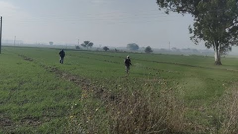 Class 5 PSEB My World-5 (Environmental Studies)- Lesson 16 : Community and Comfort (Part -1)