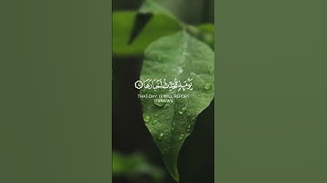 سورة الزلزلة - ياسر الدوسري (تلاوة تُزلزل القلب!)