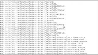 LPI 102 1 Planning Your Filesystem