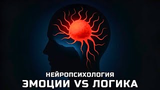 картинка: Как контролировать эмоции? Нейробиология самоконтроля
