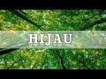 Hijau by zainal abidin  world peace   cover song by mega music worlds instructors  soul relax