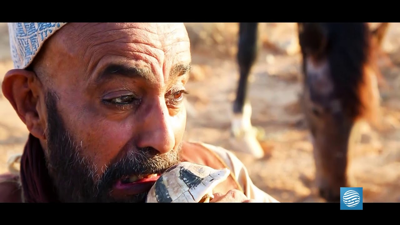 نقارش الحلقة 2