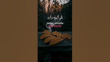 تلاوة من سورة غافر بصوت الشيخ ناصر القطامي⚡🔻