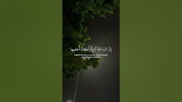﴿ وأنا اخترتك فأستمع لما يوحى ﴾ سوره طه، شريف مصطفى #قرآن #ارح_قلبك #قران_كريم