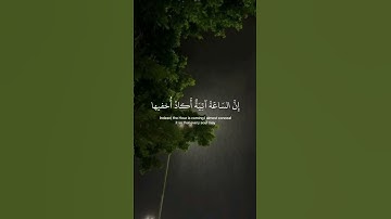 ﴿ وأنا اخترتك فأستمع لما يوحى ﴾ سوره طه، شريف مصطفى #قرآن #ارح_قلبك #قران_كريم