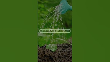 DSST Environmental Science Exam Outline