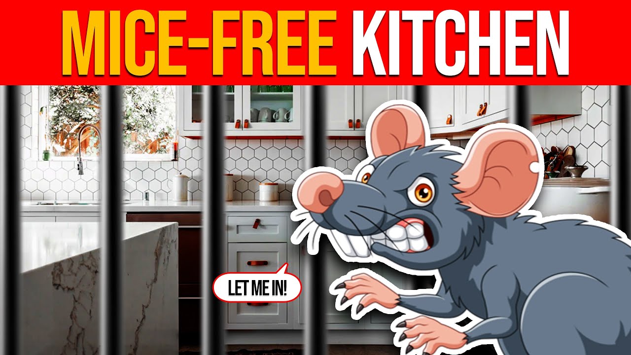 How To Keep Mice Out Of Kitchen Drawers?