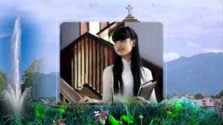 Miniatura del video "Hai vi sao lac(Nhu Quynh)"