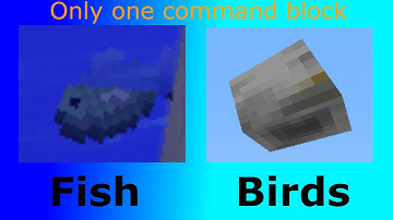 Minecraft one command block- Birds and Fish (No resource packs or mods)