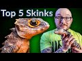 Top 5 BEST Pet Skinks | Potato Parade