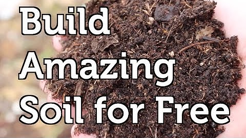 Build Amazing Fertile Garden Soil Using Free and Local Resources in your Mulch or Compost
