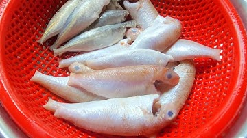 Cách khử mùi tanh cá biển cực kỳ hây siêu đơn giản